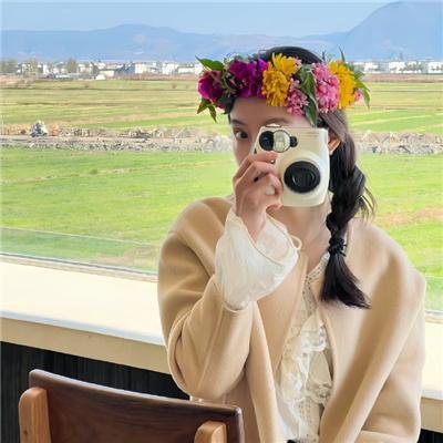 孤岛飞鹰
